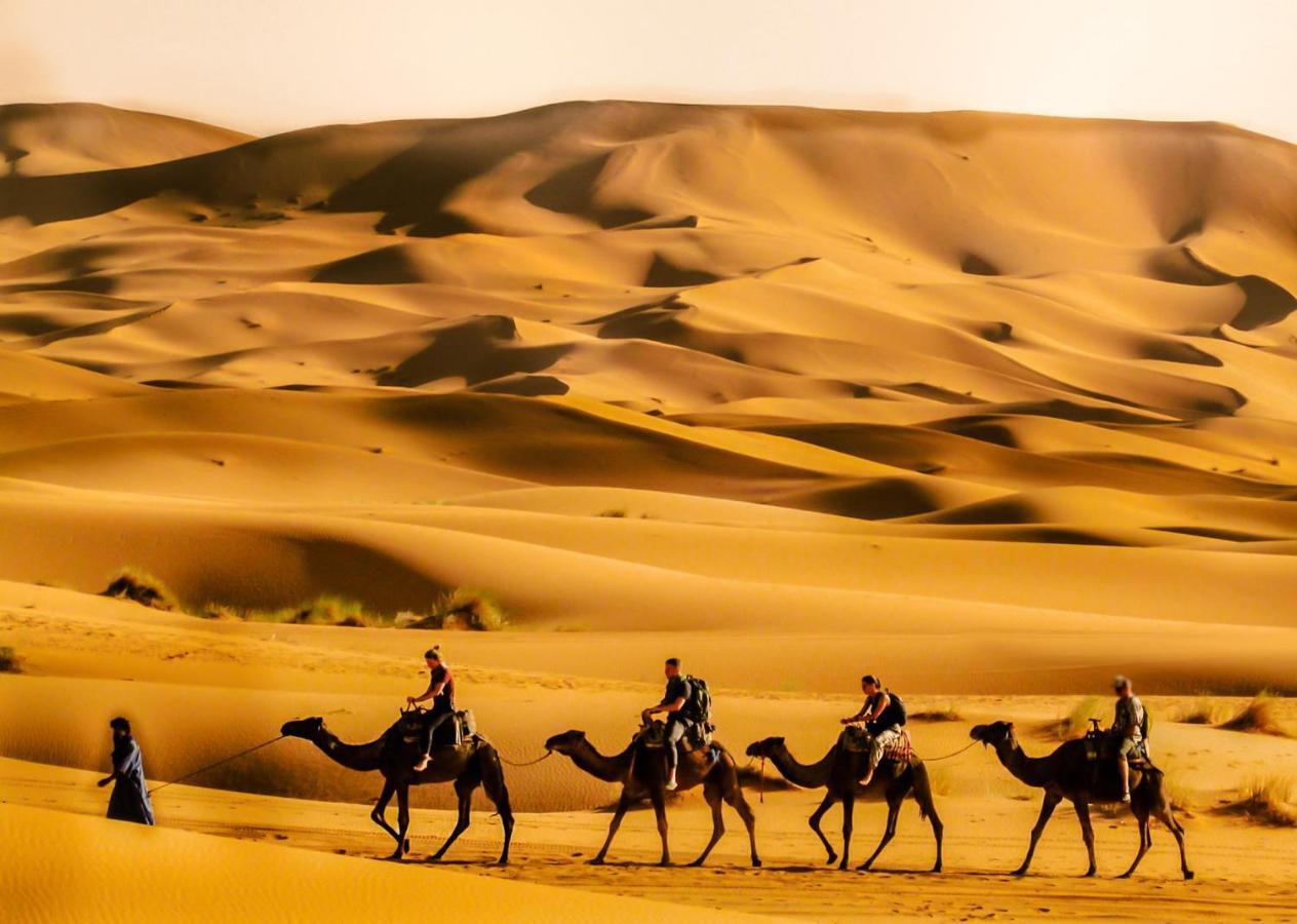 Les Roches Desert Camp 메르주가 외부 사진
